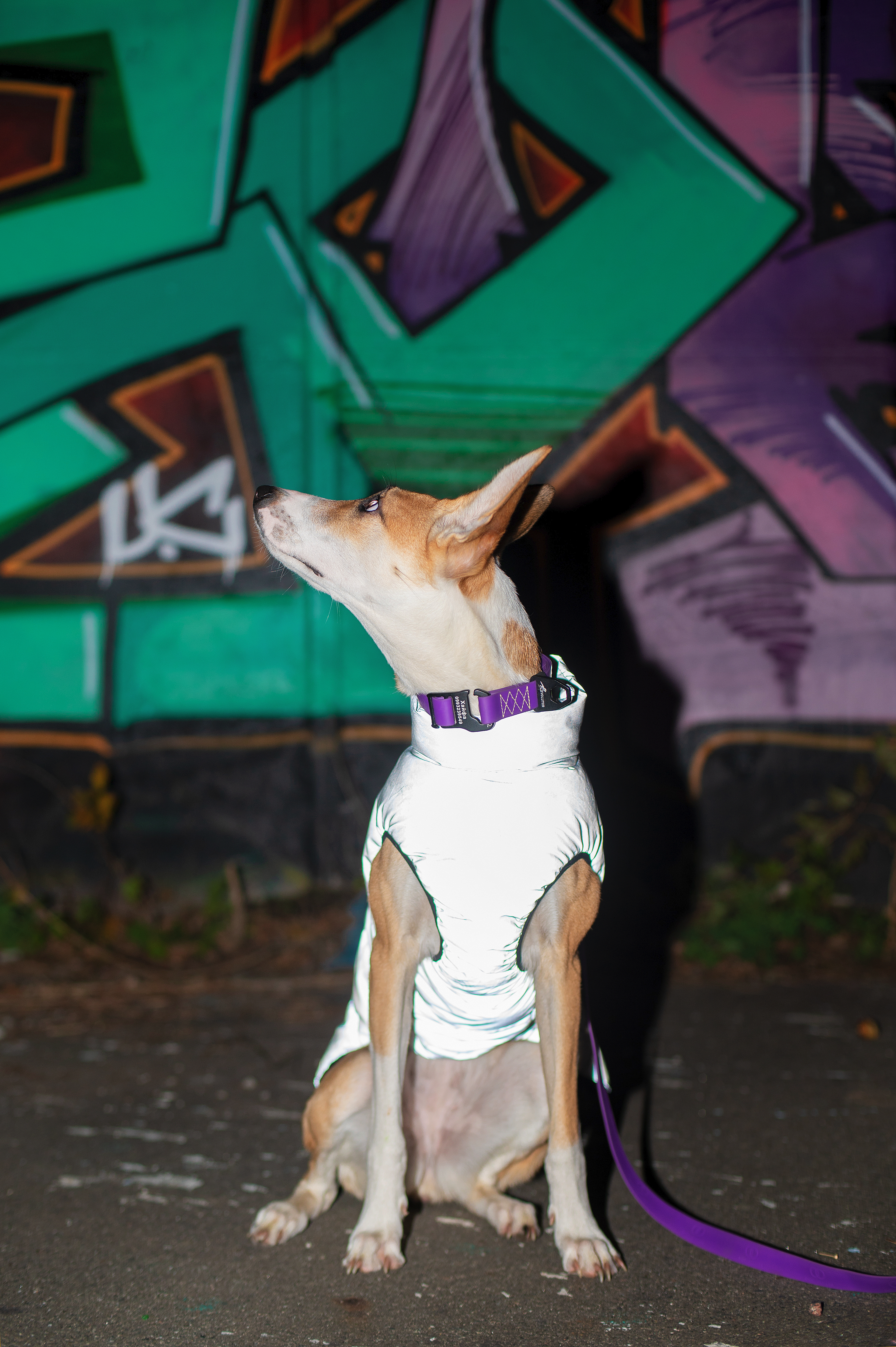 DSC_7049